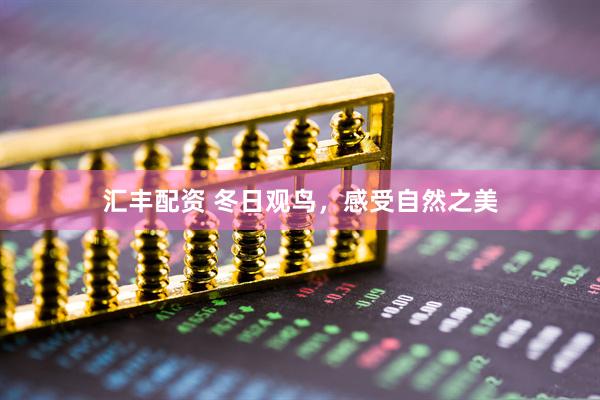 汇丰配资 冬日观鸟，感受自然之美